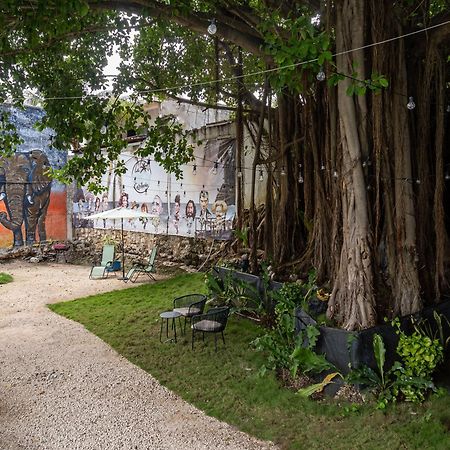 La Quinta Caribena Leilighet Playa del Carmen Eksteriør bilde