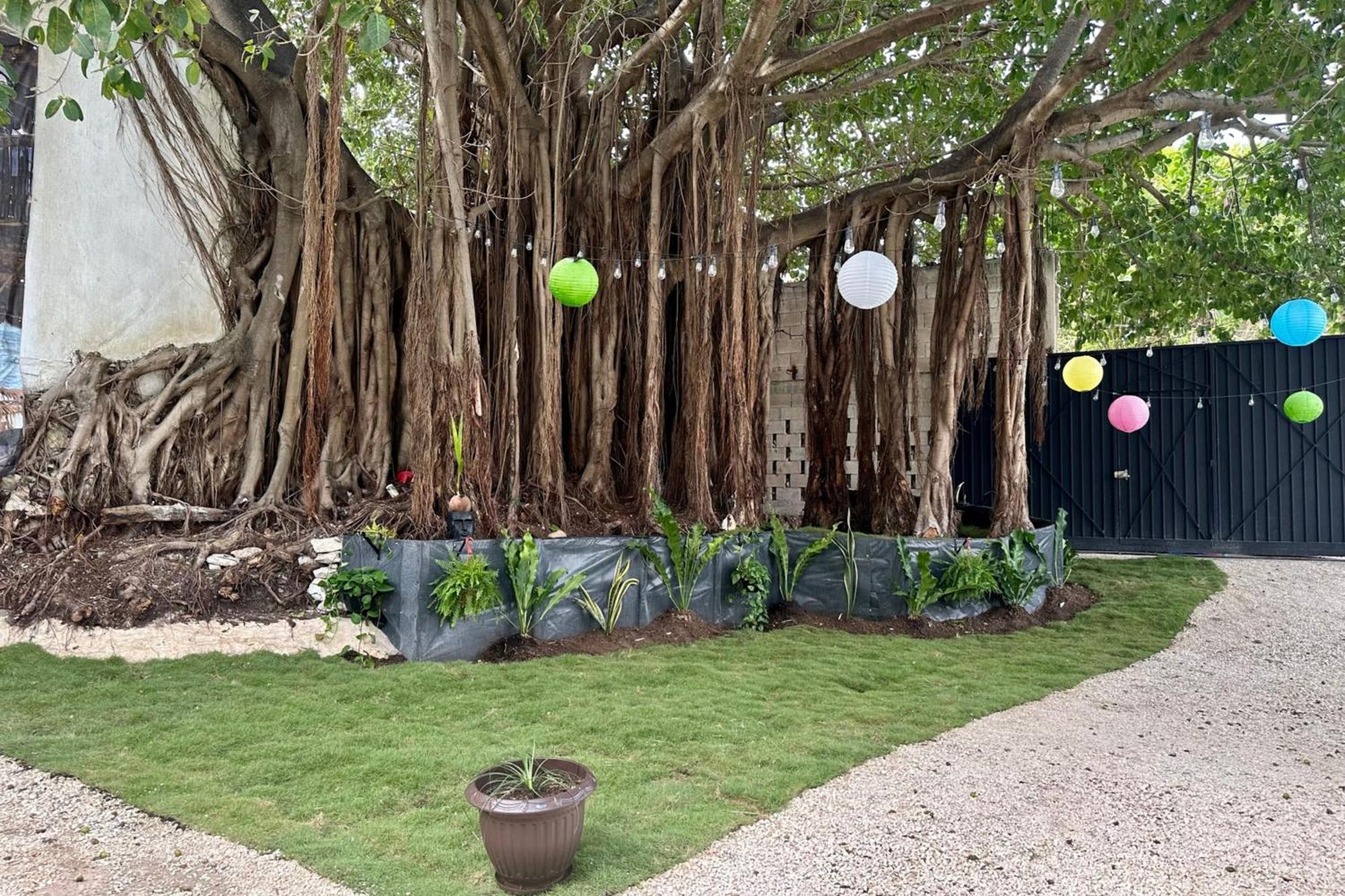 La Quinta Caribena Leilighet Playa del Carmen Eksteriør bilde